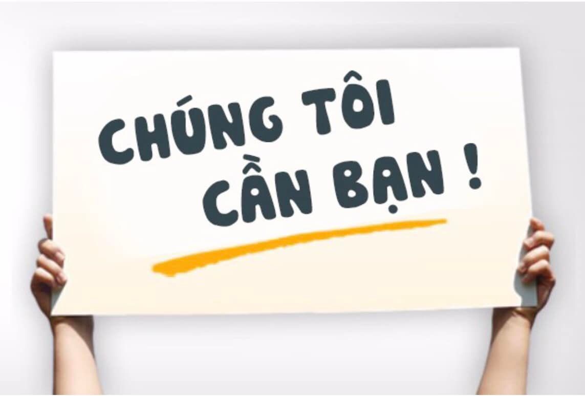 lĩnh vực hoạt động